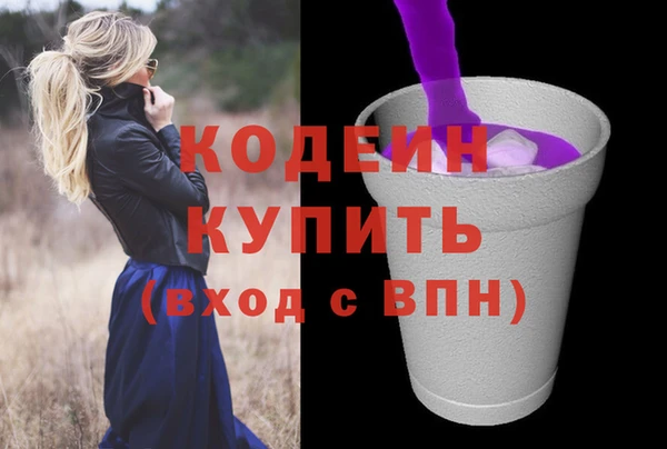 шишки Верея