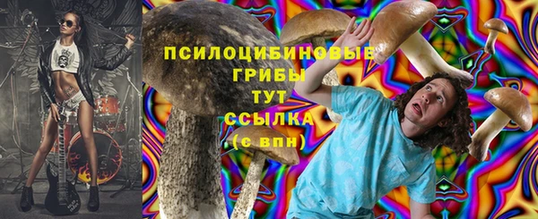 шишки Верея